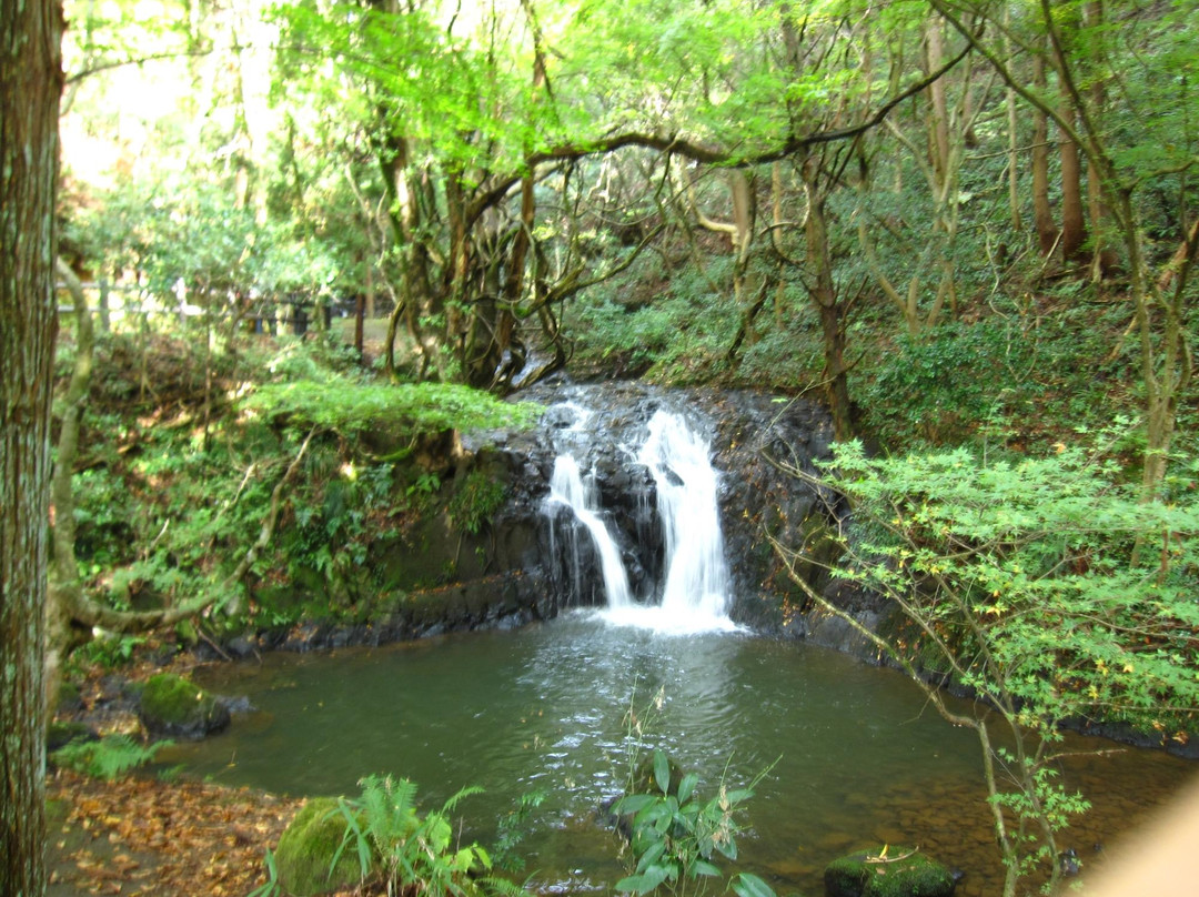 Nanatsudaki Falls景点图片