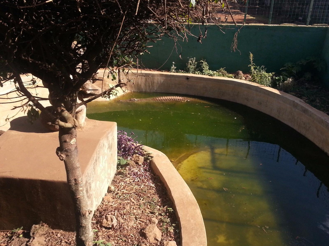 Meru Museum-Meru National Park必去景点