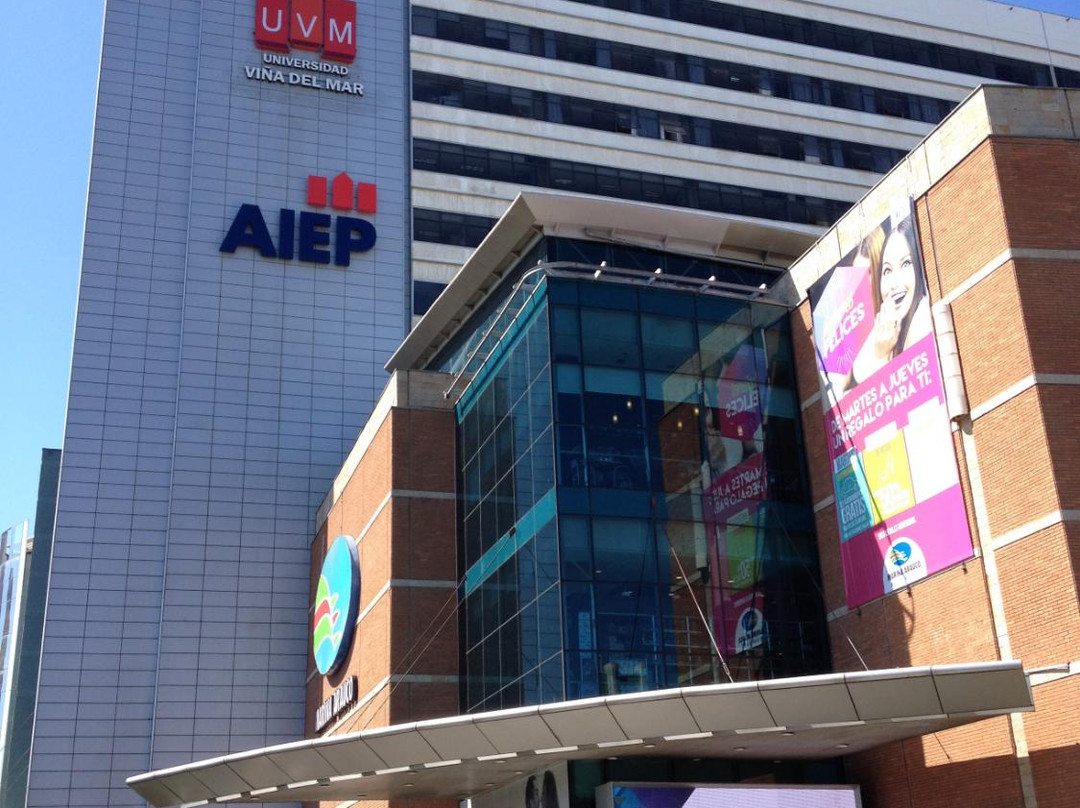 Mall Marina-比尼亚德尔马必去景点