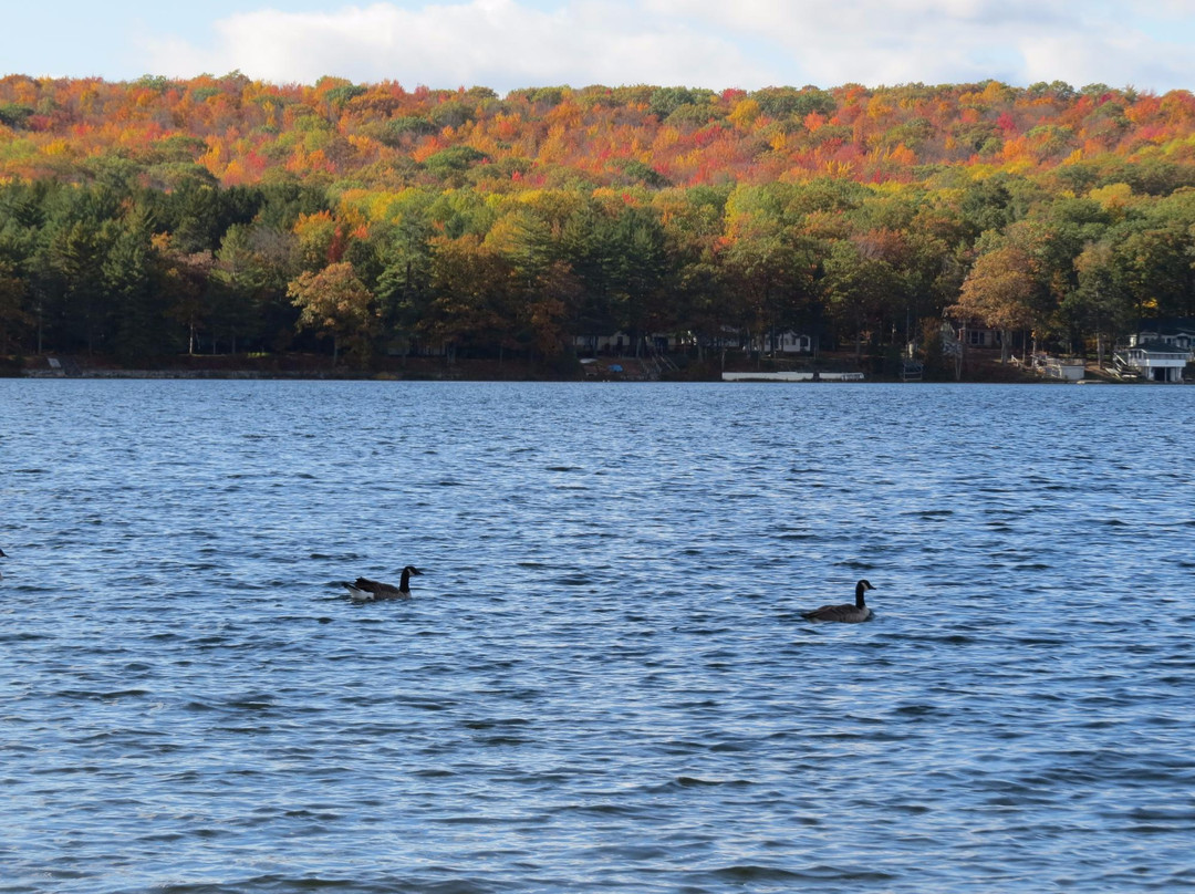 Otsego Lake State Park景点图片