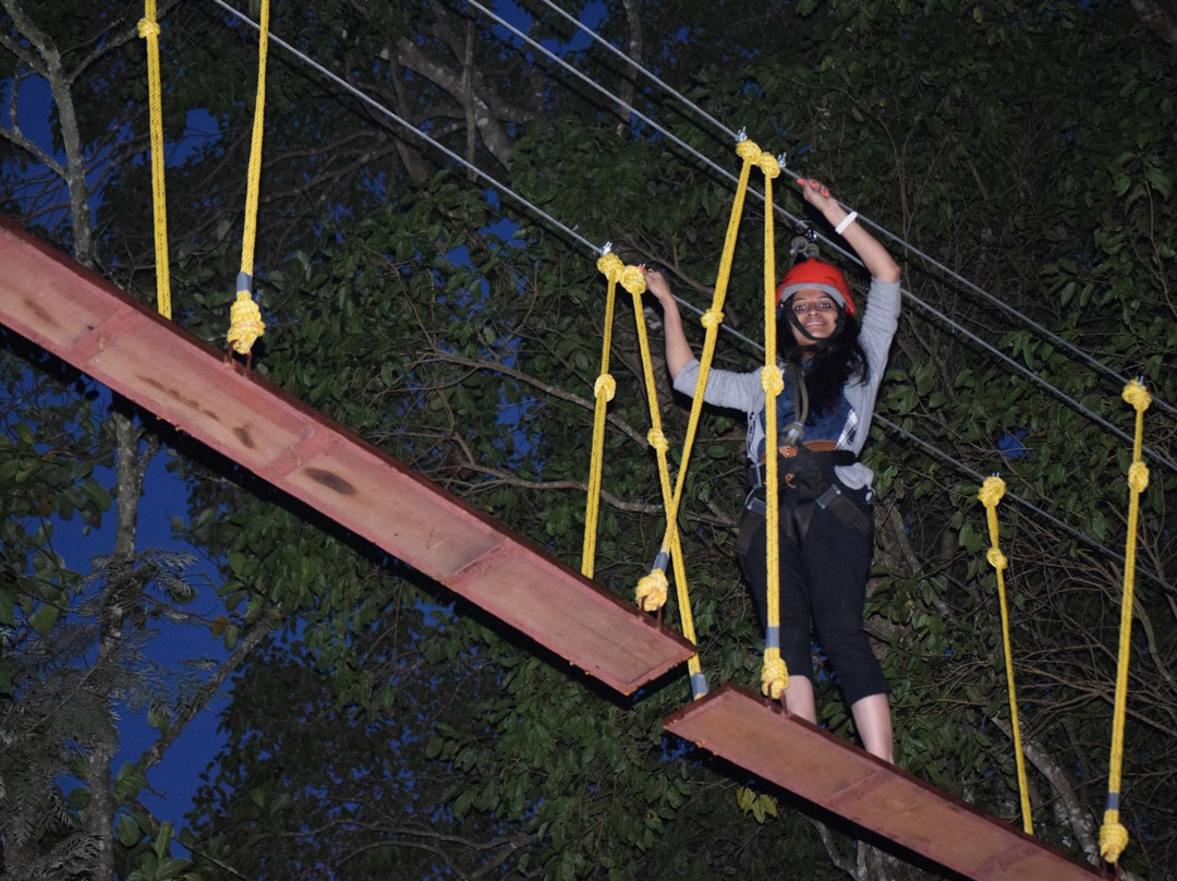 TreeTop Adventure Park景点图片
