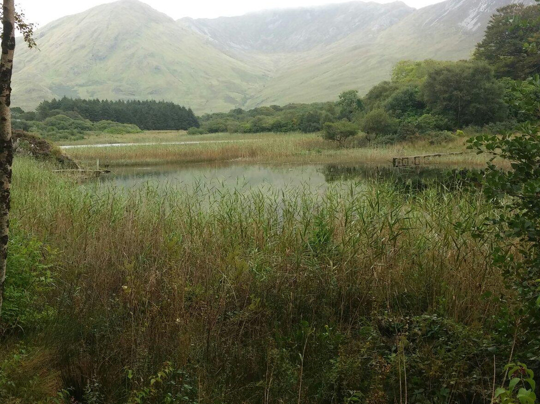Kylemore Abbey & Victorian Walled Garden景点图片