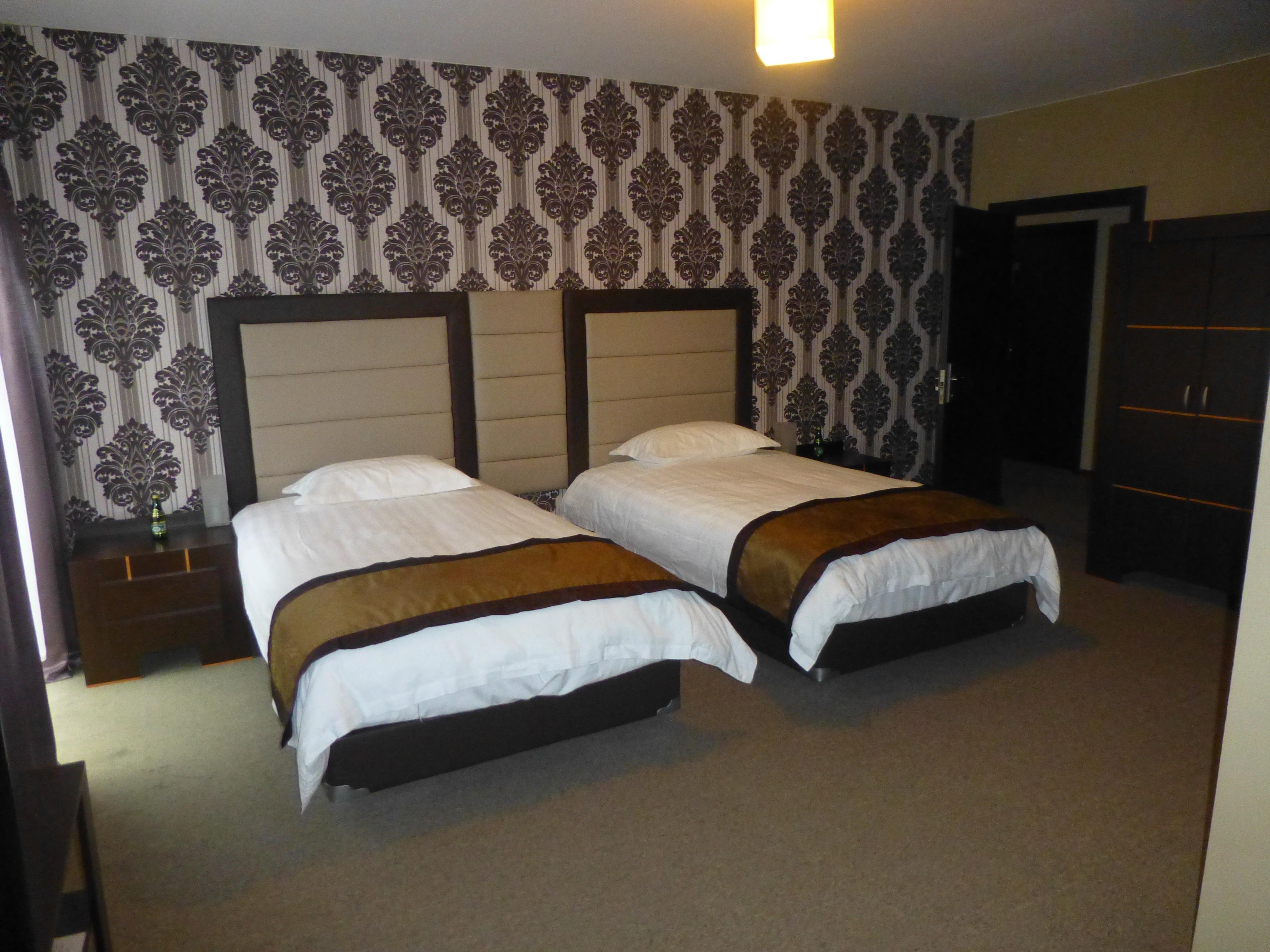 Hotel Borowina-客卧