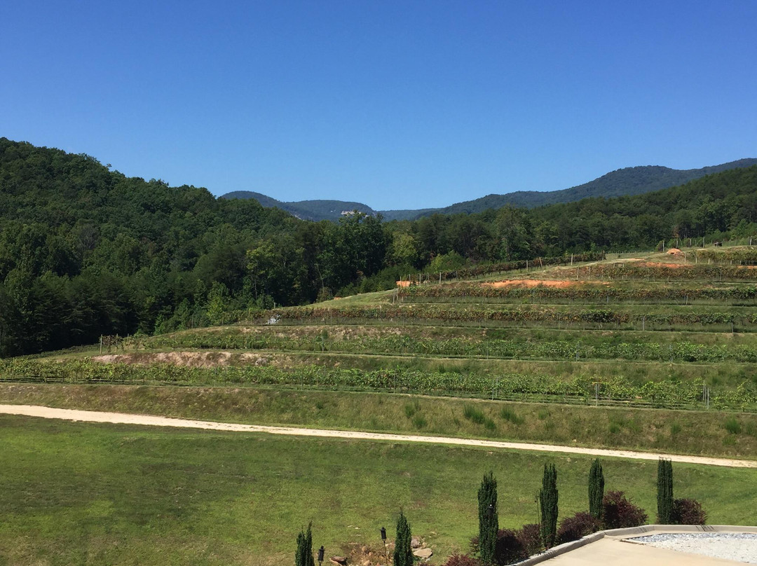 Victoria Valley Vineyard景点图片