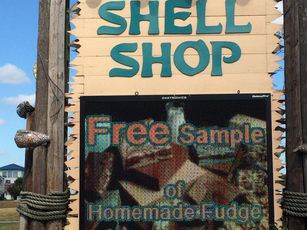 Sea Shell Shop - Coastal Highway-里霍博斯比奇必去景点