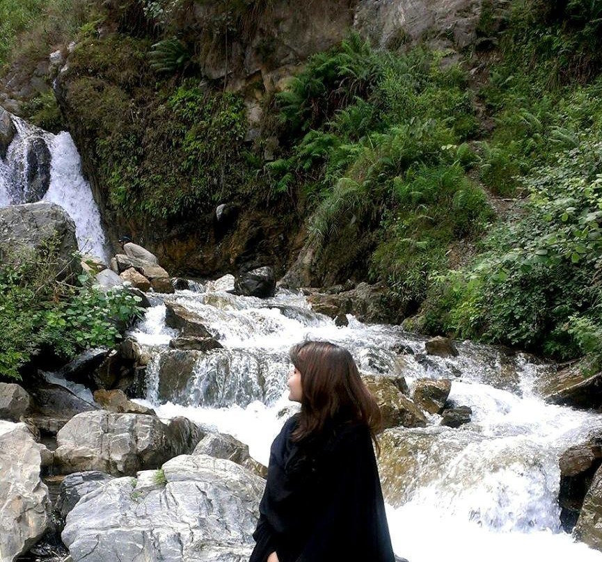 Harvey's Guest House主图