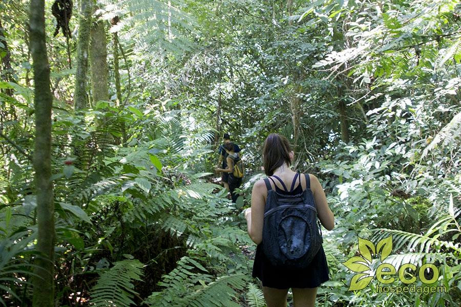 Parque Nacional da Serra do Itajaí-Indaial必去景点