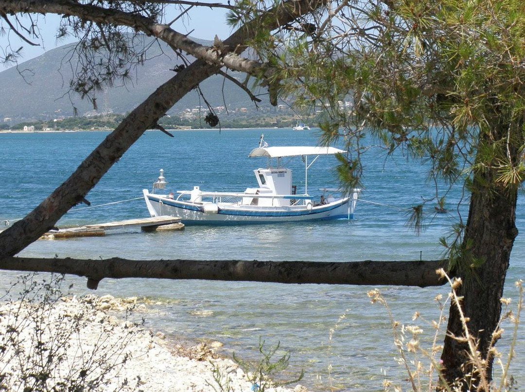 Art Club-Lygia必去景点