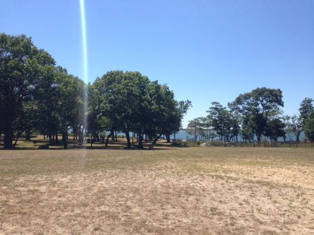 Cedar Point County Park景点图片