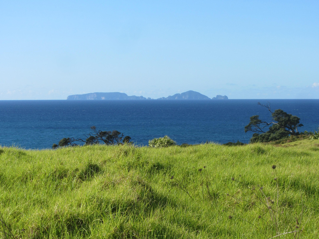 Tutukaka Headland-Tutukaka必去景点