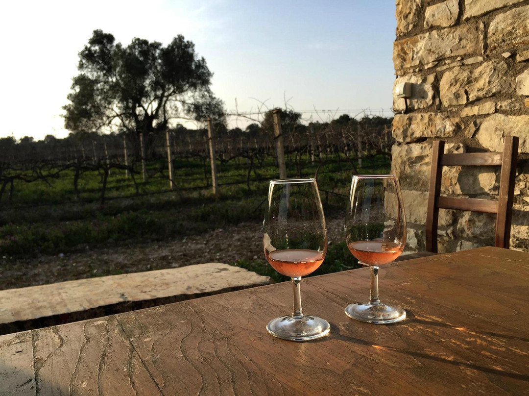 Urla Vines景点图片