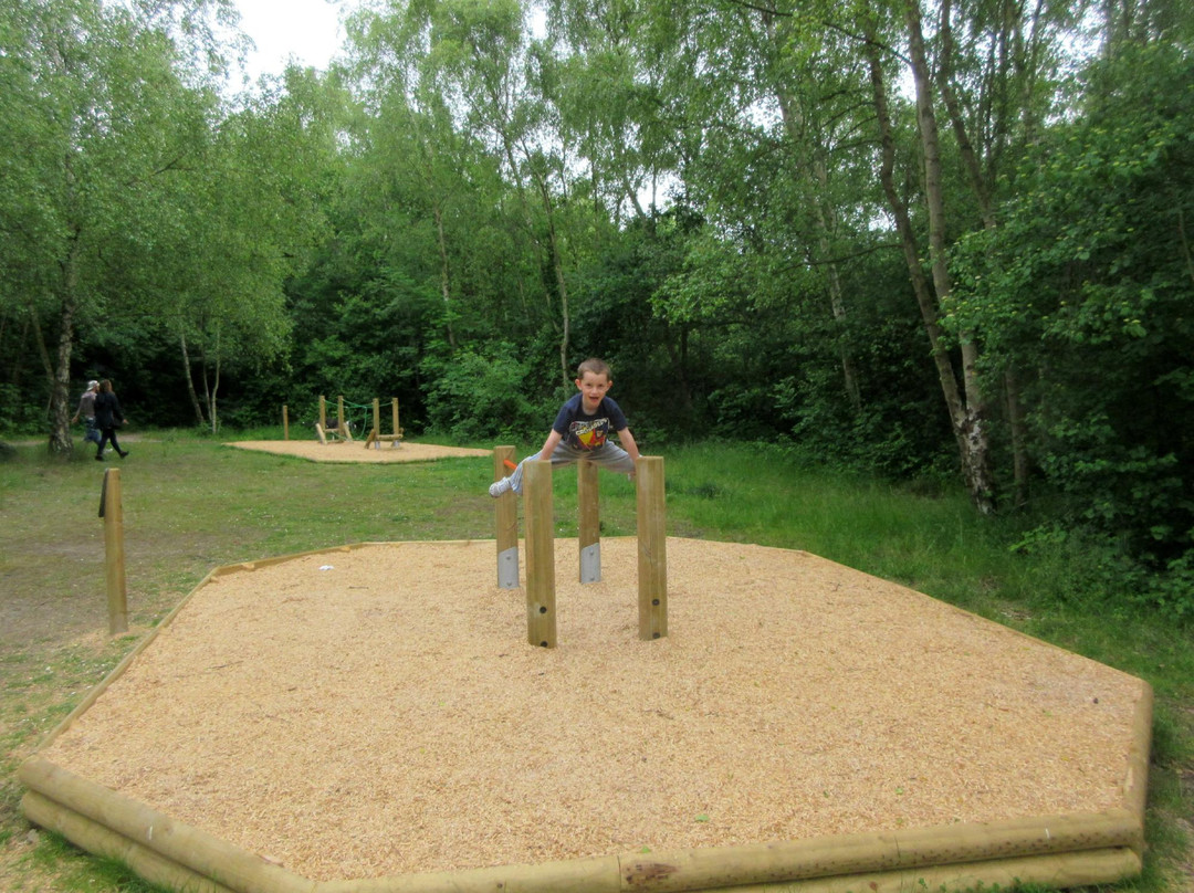 Beacon Wood Country Park景点图片