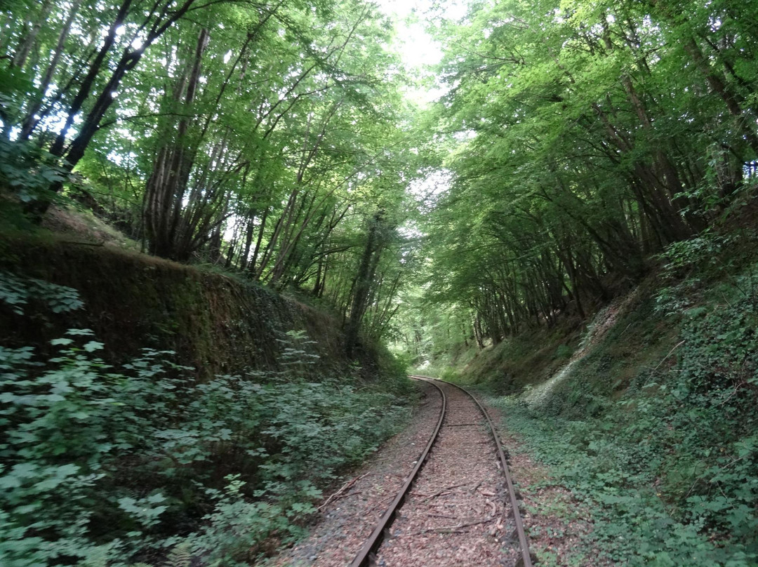 Vélo Rail de la Mine景点图片