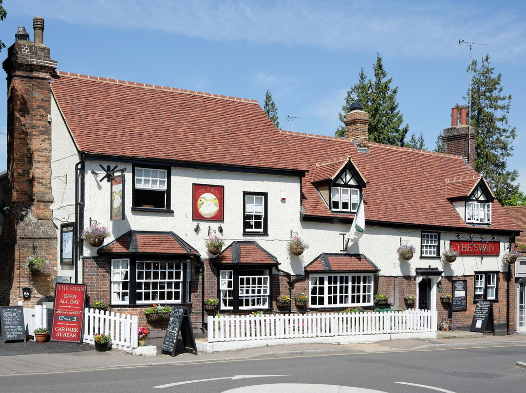 The Swan