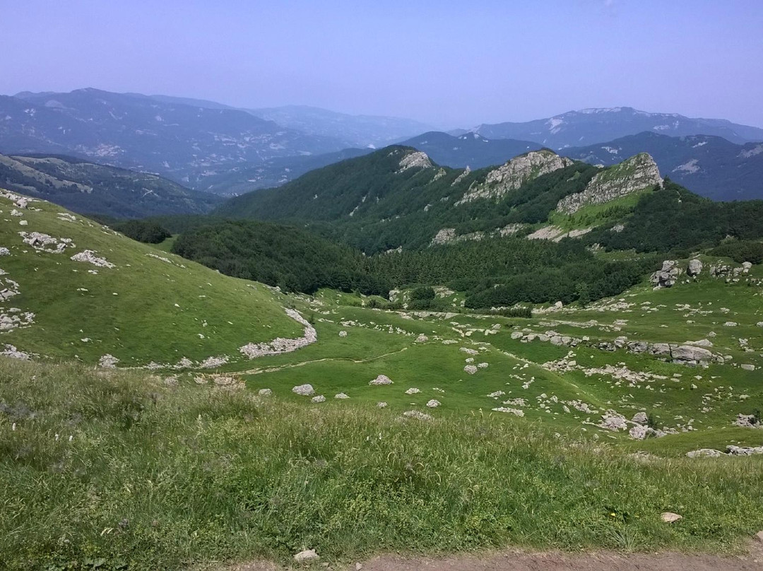 Parco Regionale Valli del Cedra e del Parma景点图片