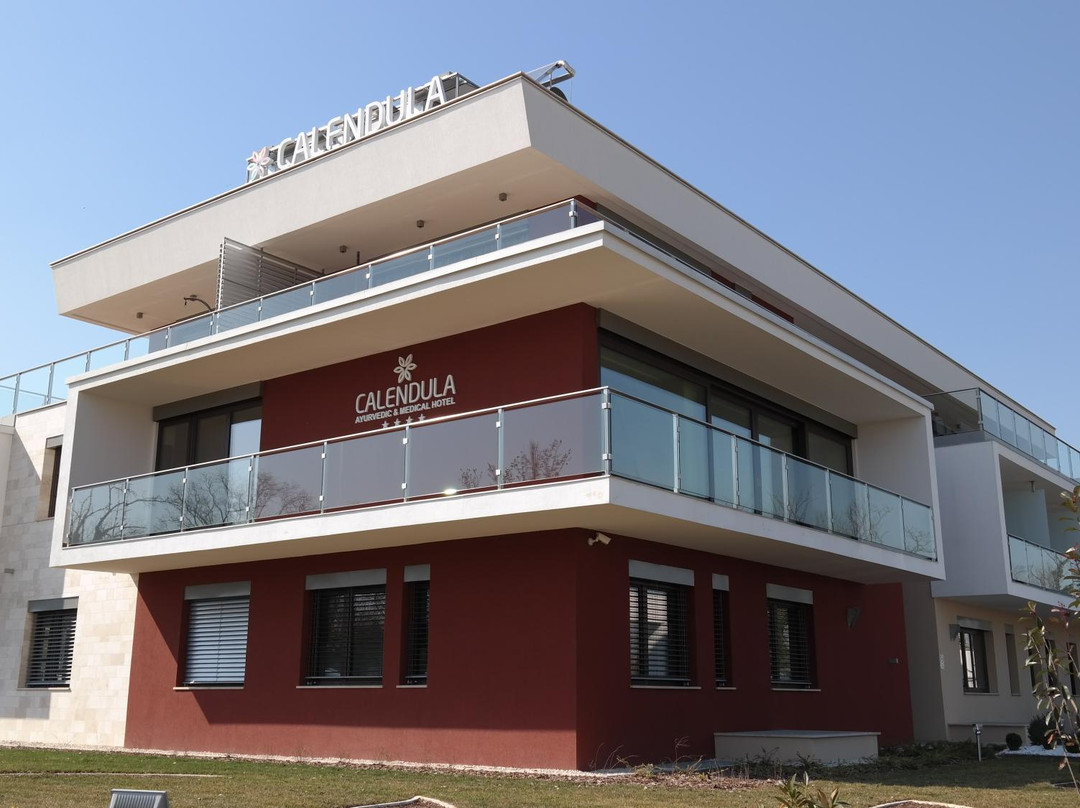 金盏草药及医疗酒店