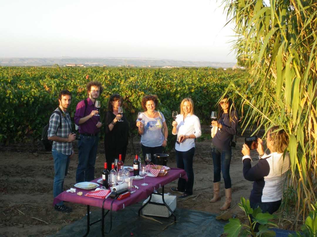 Uvas y Vino-Aldeanueva de Ebro必去景点