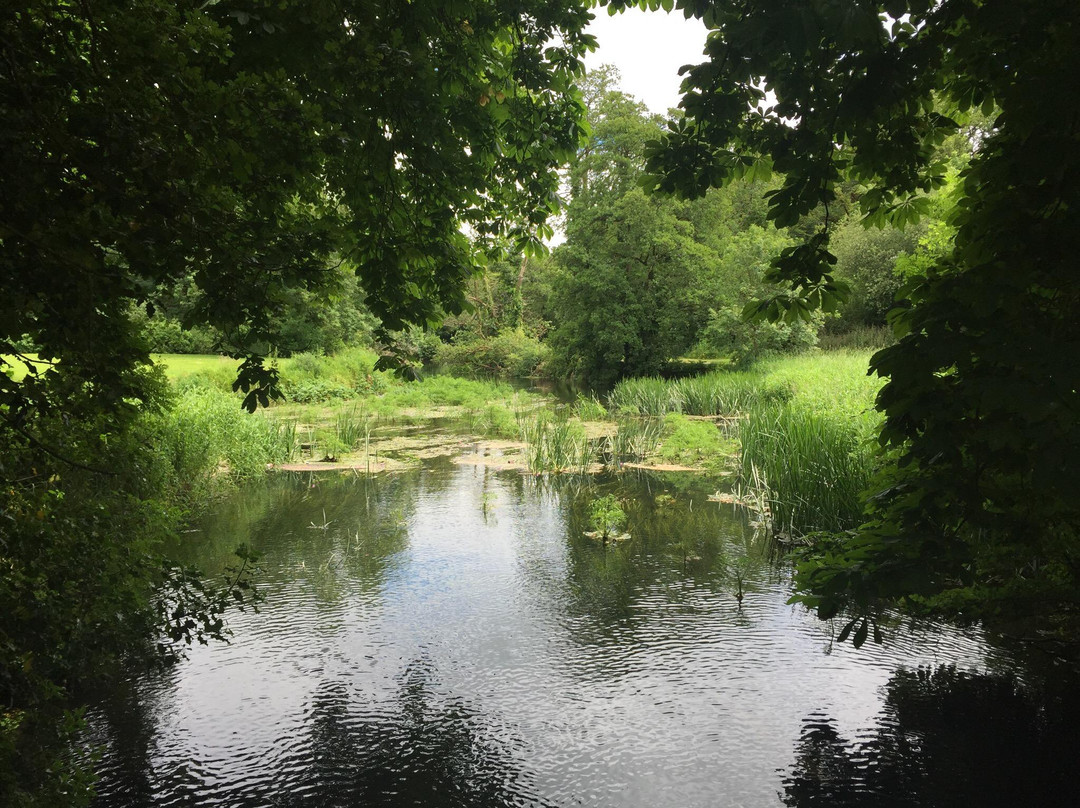 Kildorrery旅游景点-Doneraile Wildlife Park