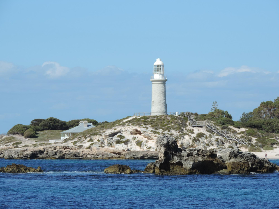 Dolphin Dive Fremantle-弗里曼特尔必去景点