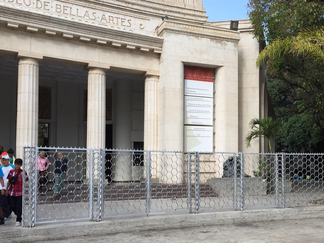 Museo de Bellas Artes-加拉加斯必去景点