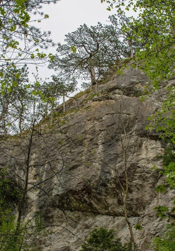 Johannesbachklamm-Wurflach必去景点