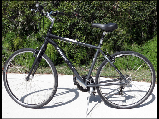 Ride and Paddle By Siesta Sports Rentals-西耶斯塔岛必去景点