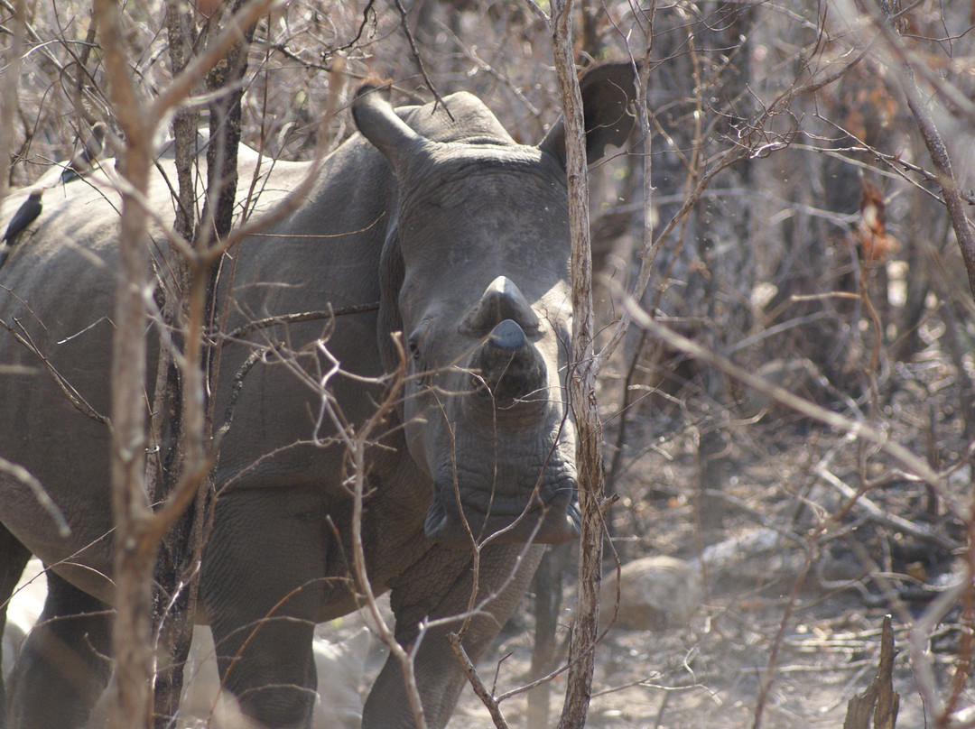 Mthethomusha Game Reserve-马里兰必去景点