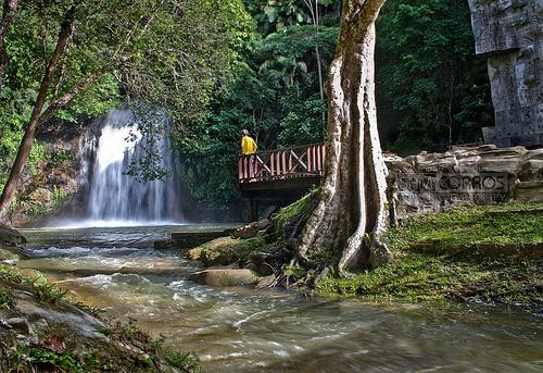 Tasek Lama Recreational Park景点图片