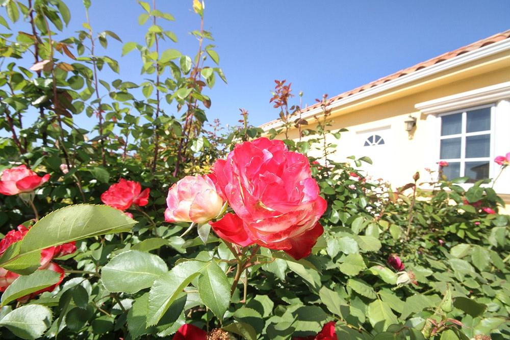 Bella Collina at La Bella Rosa主图