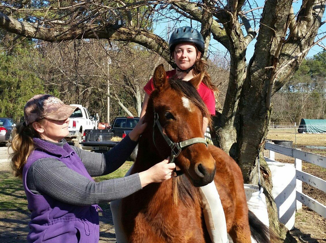 Pfeiffer Riding Stables景点图片