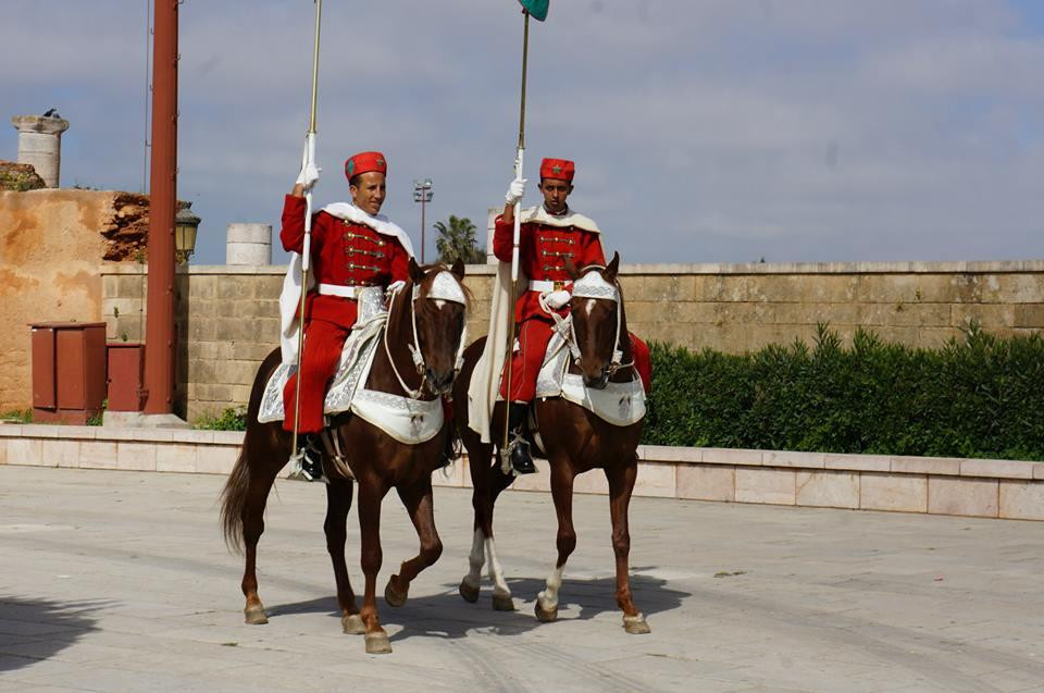 Under Moroccan Sun, LLC - Morocco Tours Specialist-卡萨布兰卡必去景点