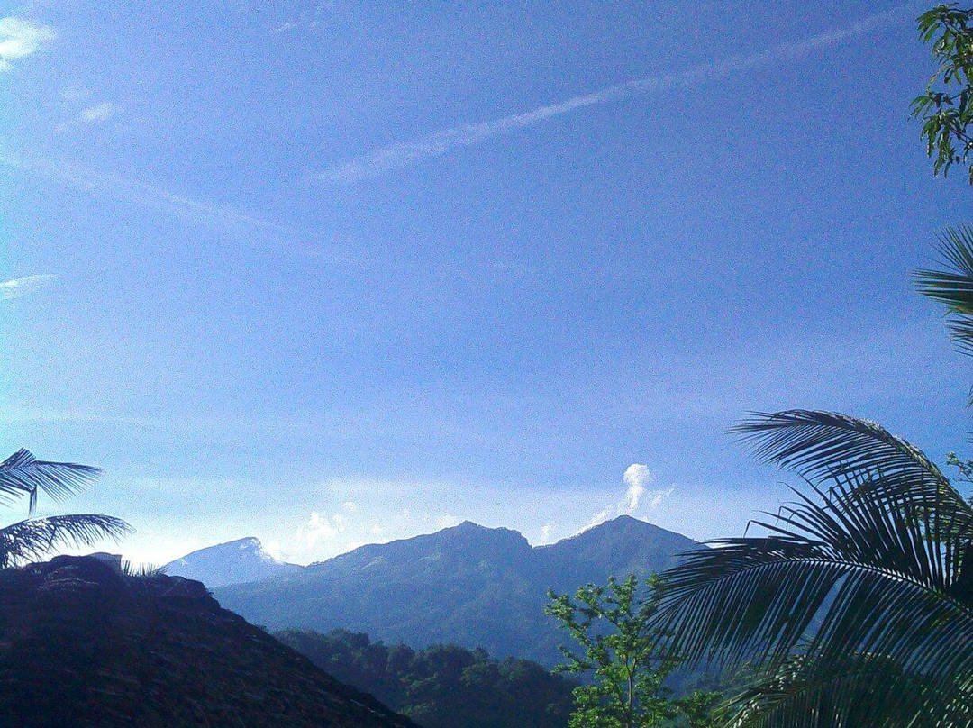 森娜鲁旅馆