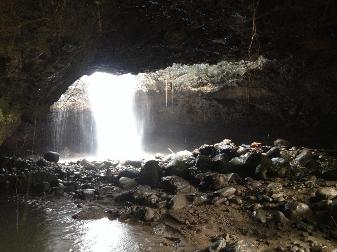 Coban Pawon Waterfall景点图片