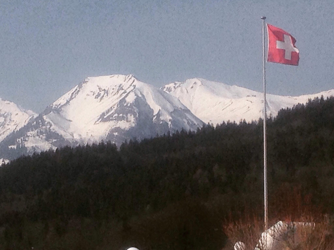 Hasliberg酒店住宿-维多利亚酒店