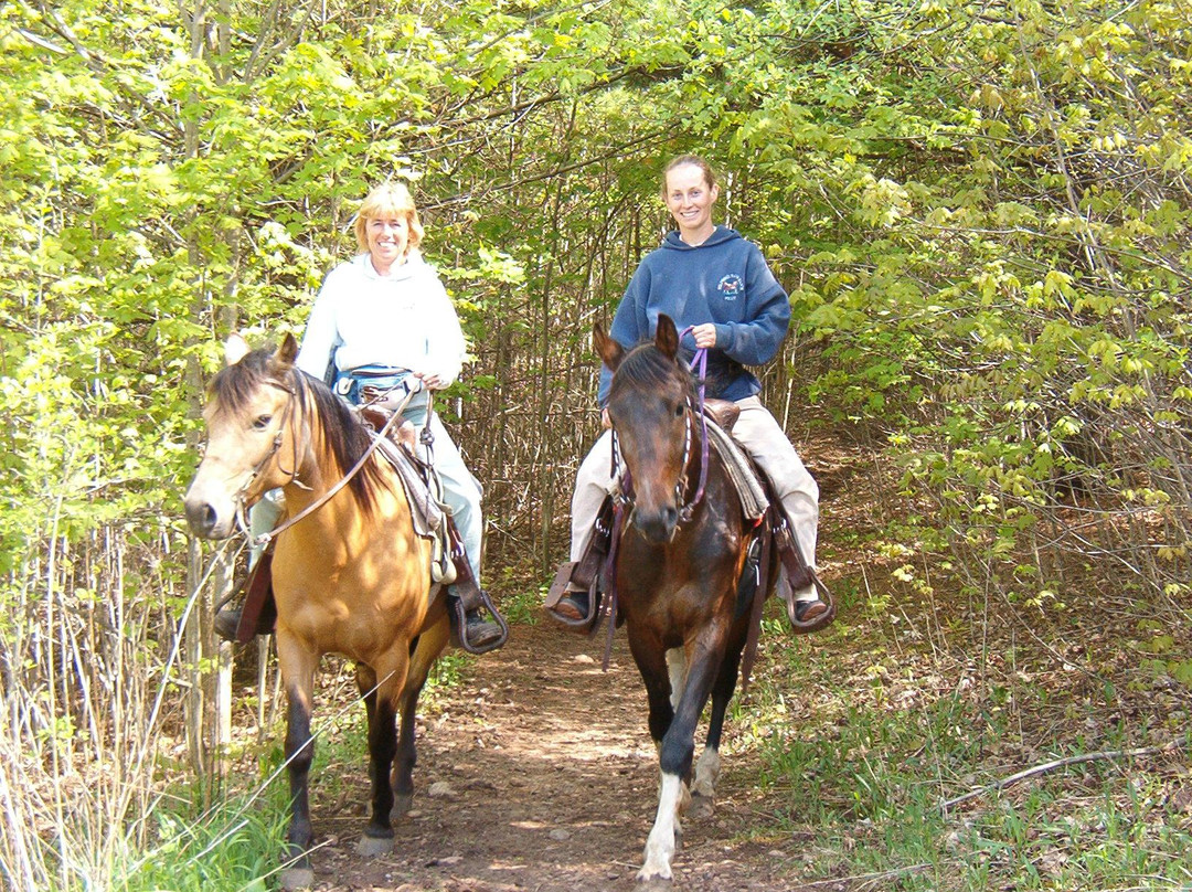Wildwood Manor Ranch-Georgetown必去景点
