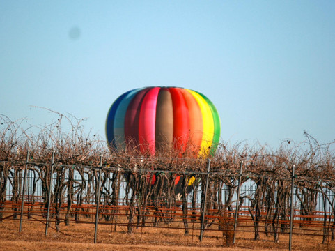 Wales Manor Vineyard & Winery-麦金尼必去景点