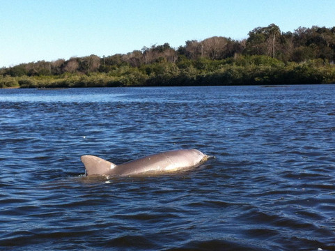 Calypso Kayaking Daytona-新士麦那海滩必去景点
