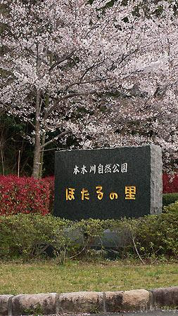 Hotarunosato, Motogi River Park-福津市必去景点