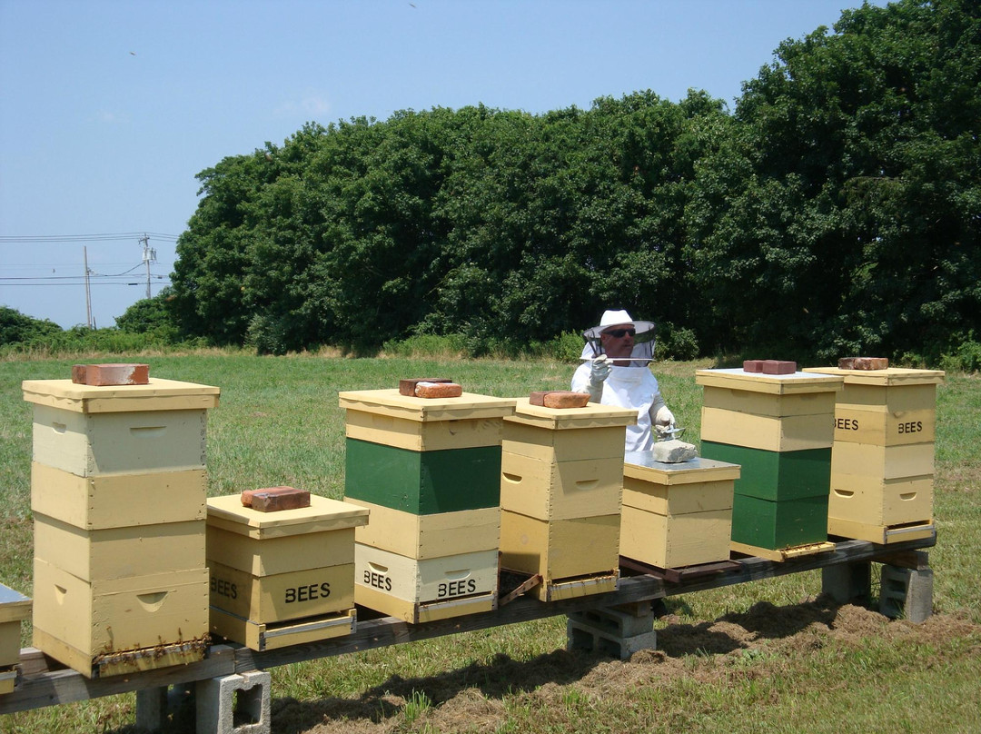 Prescott Farm-米德尔敦必去景点