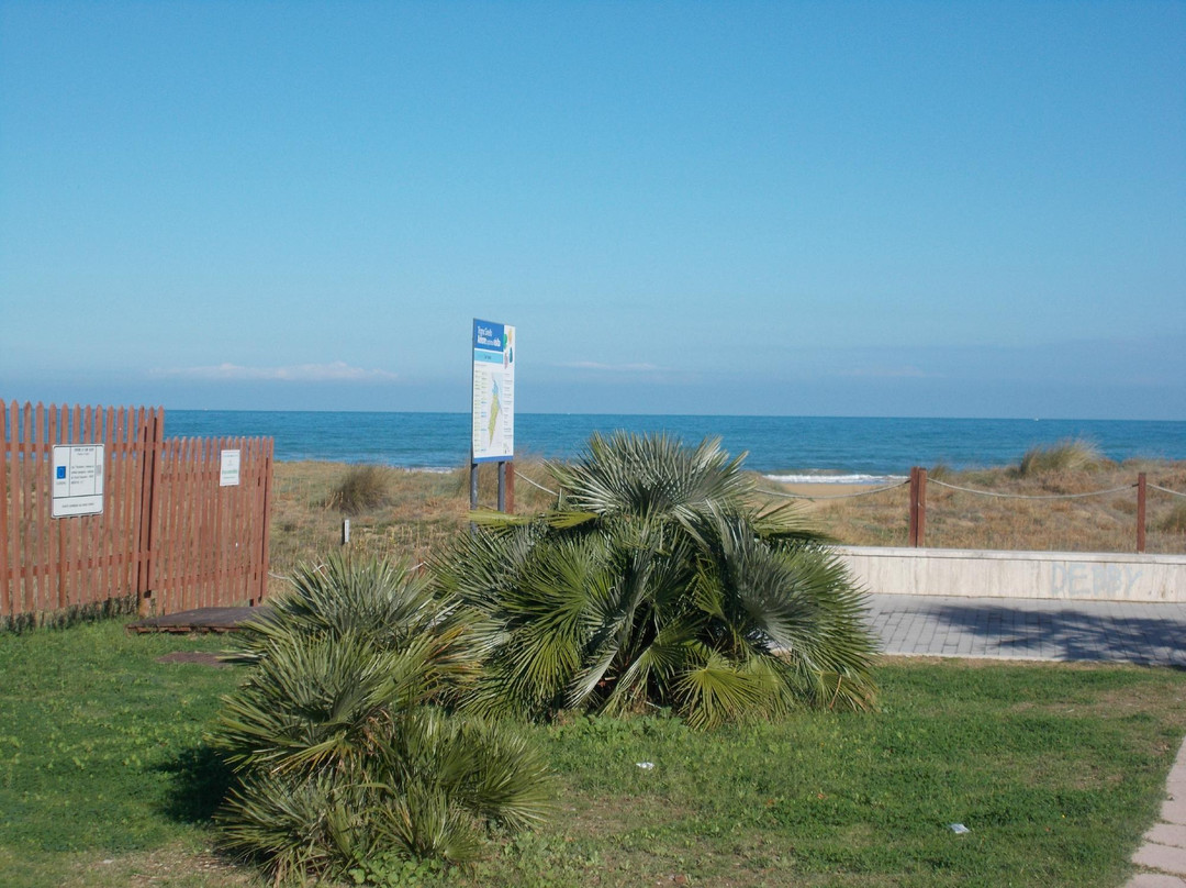 Mediterranean Botanical Garden and Coastal Biotope景点图片