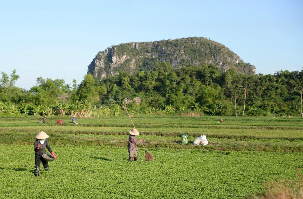 Path Biker-会安必去景点
