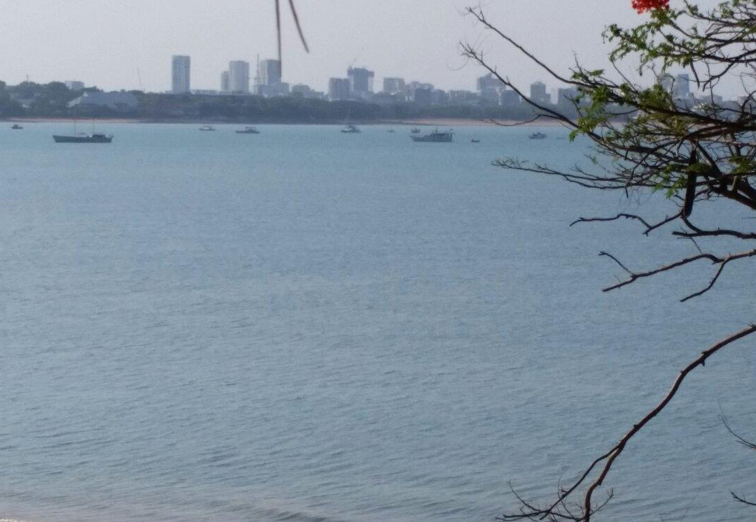 East Point Reserve-达尔文市必去景点