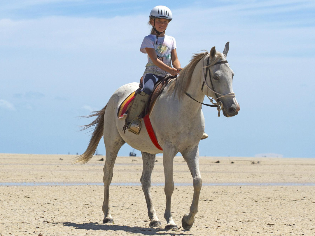 Mozambique Horse Safari景点图片