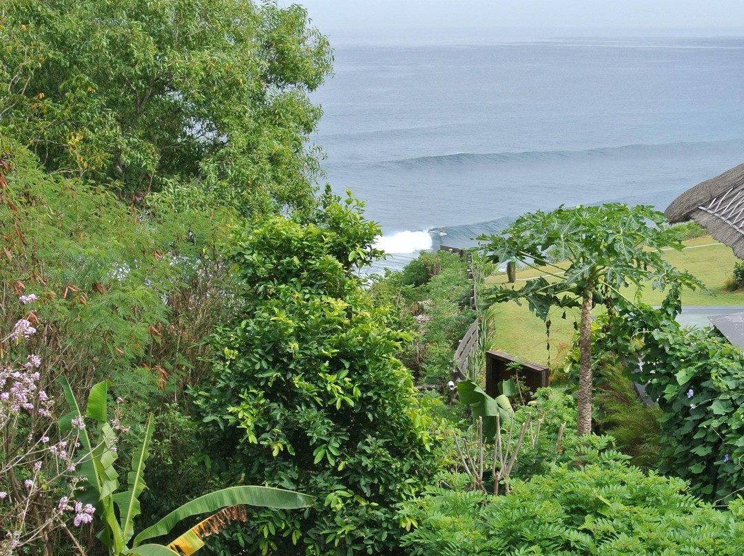 Morning Light Yoga Studio-培卡图必去景点