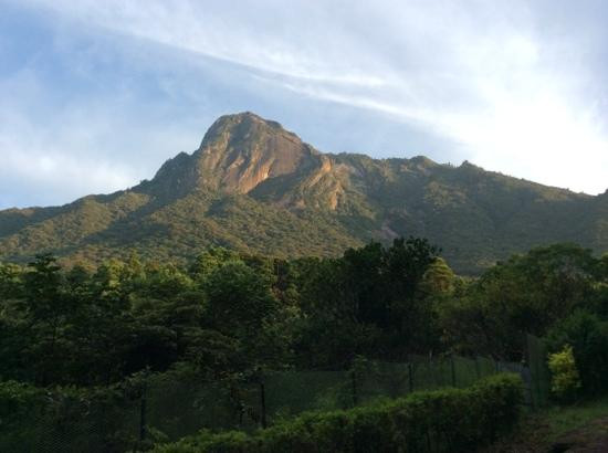 Mt. Mocchomudake景点图片