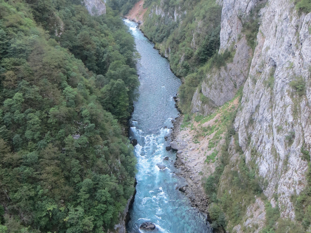 Tara River Canyon景点图片