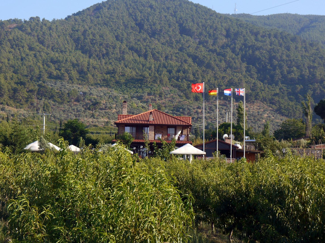 Alacali旅游攻略图片