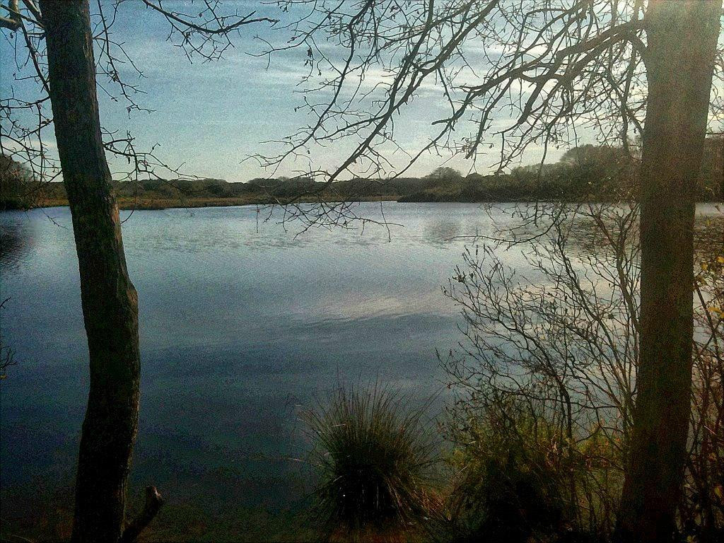 Windswept Bog-楠塔基特必去景点