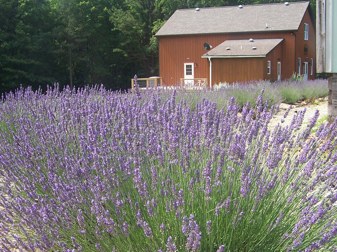 Beagle Ridge Herb Farm-Wytheville必去景点