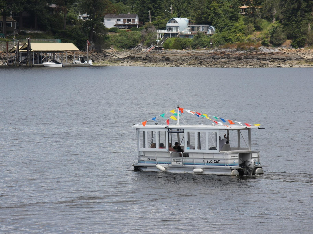 SloCat Harbour Tours-马德拉公园镇必去景点